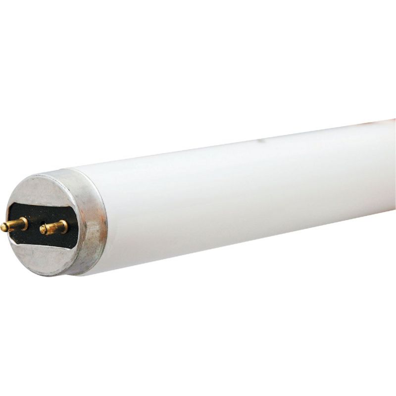 Philips ALTO T8 Medium Bi-Pin Fluorescent Tube Light Bulb (Pack of 12)