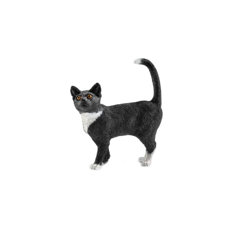 Schleich-S 13770 Toy, 3 to 8 years, Cat, Plastic