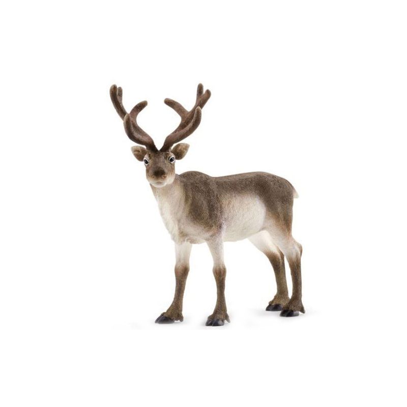 Schleich-S Wild Life Series 14837 Animal Toy, 3 to 8 years, Reindeer, Plastic Brown/Gray