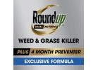 Roundup Dual Action Weed &amp; Grass Killer 1.33 Gal., Wand Sprayer