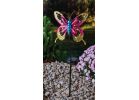 Moonrays Solar Butterfly Stake Light Lawn Ornament Multi (Pack of 16)