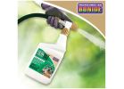 Bonide MossMax® RTS 728 Moss/Algae Killer, Liquid, Spray Application, 1 qt Light Yellow