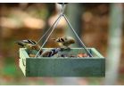 Bird&#039;s Choice Green Solutions Tray Bird Feeder 2.5 Lb., Green