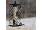 Perky-Pet Squirrel Proof Bird Feeder 3 Lb., Black