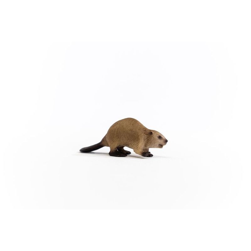 Schleich-S Wild Life 14855 Animal Toy, 3 to 8 Years, Beaver