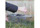 Havahart Galvanized Wire Mesh Animal Trap