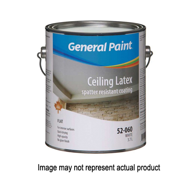 Buy General Paint Ceiling Latex 5206020 Ceiling Paint, Flat, White, 5