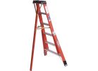 WERNER FTP6200 Series FTP6206 Tripod Ladder, 10 ft Max Reach H, 6-Step, 300 lb, Type IA Duty Rating, 3 in D Step, Black Black
