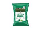 Jonathan Green Green-Up 11989 Lawn Fertilizer, 45 lb Bag, Granular, 29-0-3 N-P-K Ratio