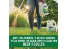 Roundup For Lawns Northern Formula Weed Killer 1.25 Gal., Refill