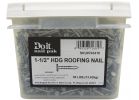 Grip-Rite Hot Galvanized Roofing Nail 4d