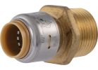 SharkBite Push-to-Connect Brass Male Adapter