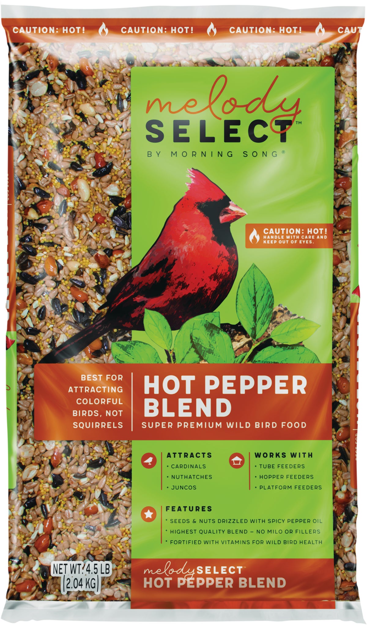 Can Parrots Handle Spicy Delights?