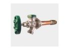 arrowhead 425 Series 425-12LF Anti-Siphon Frostproof Wall Hydrant, 1/2 x 3/4 x 3/4 in Connection, FIP x MIP x Hose