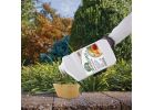 Bonide Orchard Spray Fruit Tree Insect &amp; Disease Killer 32 Oz., Sprayer