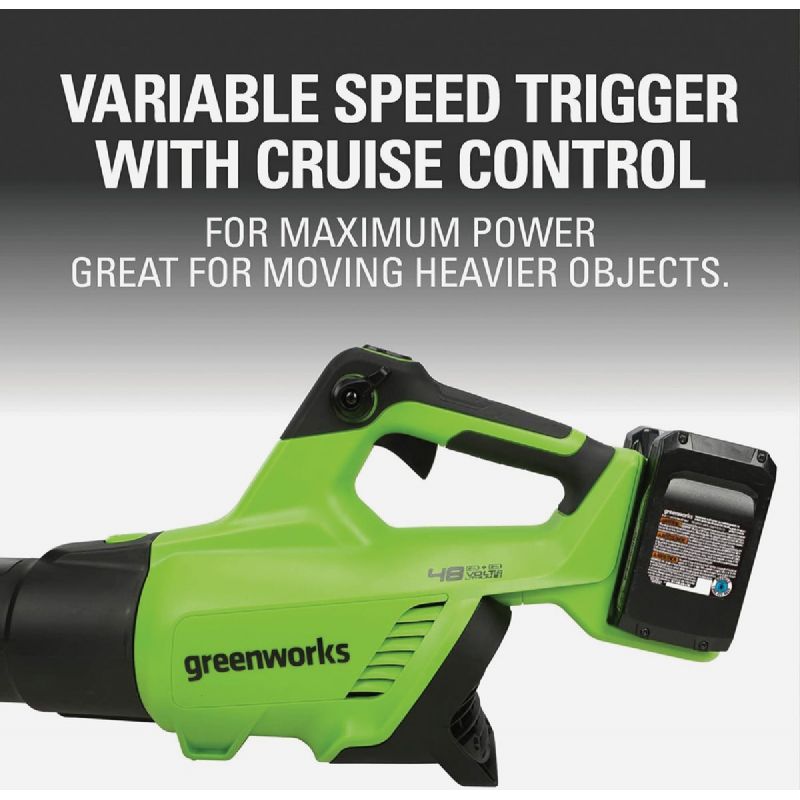 Greenworks (2) x 24V Cordless Blower Kit