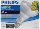 Philips DuraMax BR30 Incandescent Floodlight Light Bulb