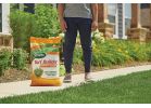 Scotts Turf Builder SummerGuard Lawn Fertilizer With Insecticide