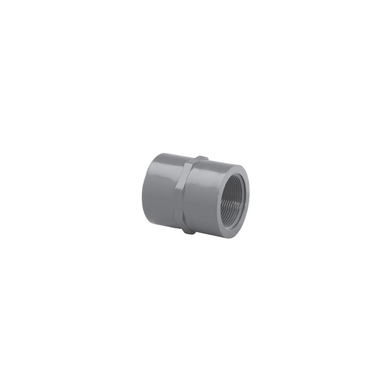 Lasco 835012BC Pipe Adapter, 1-1/4 in, Slip x FIP, PVC, SCH 80 Schedule