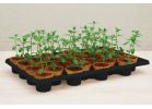 PlantBest Self-Watering Seed Starter Kit