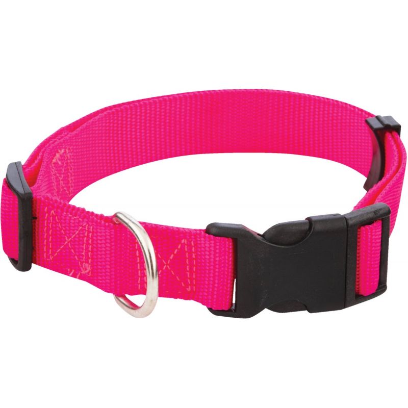Westminster Pet Ruffin&#039; it Dog Collar Purple/Pink/Blue
