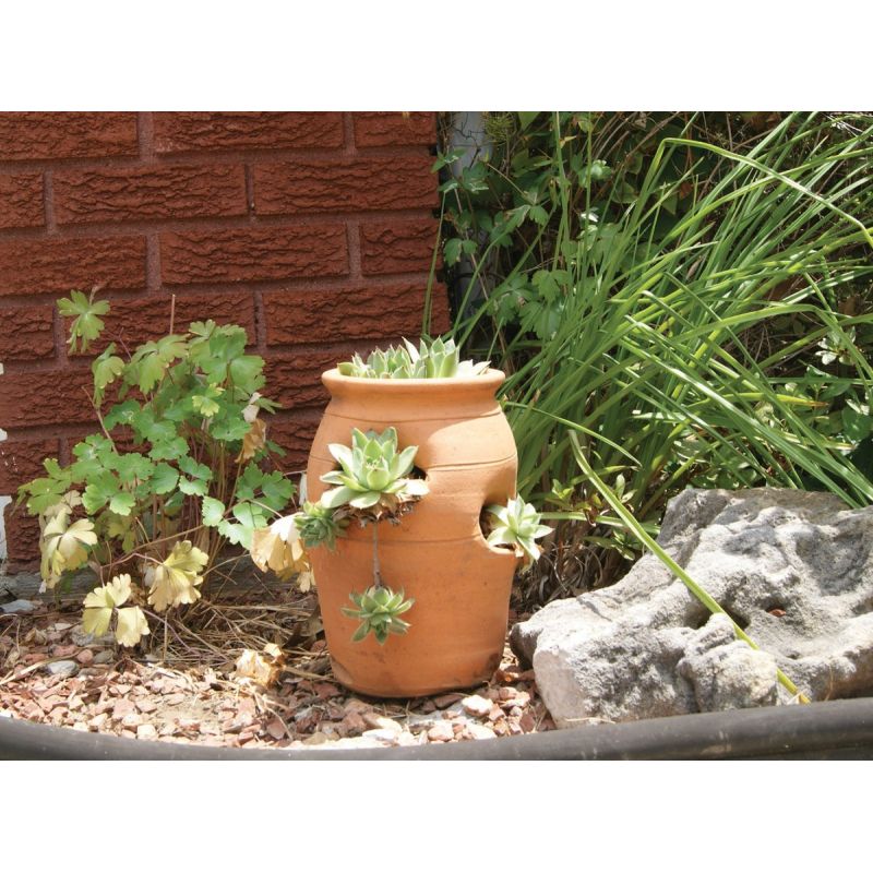 Terra Cotta Planters  Strawberry Jar Pots – Little Baja's Online