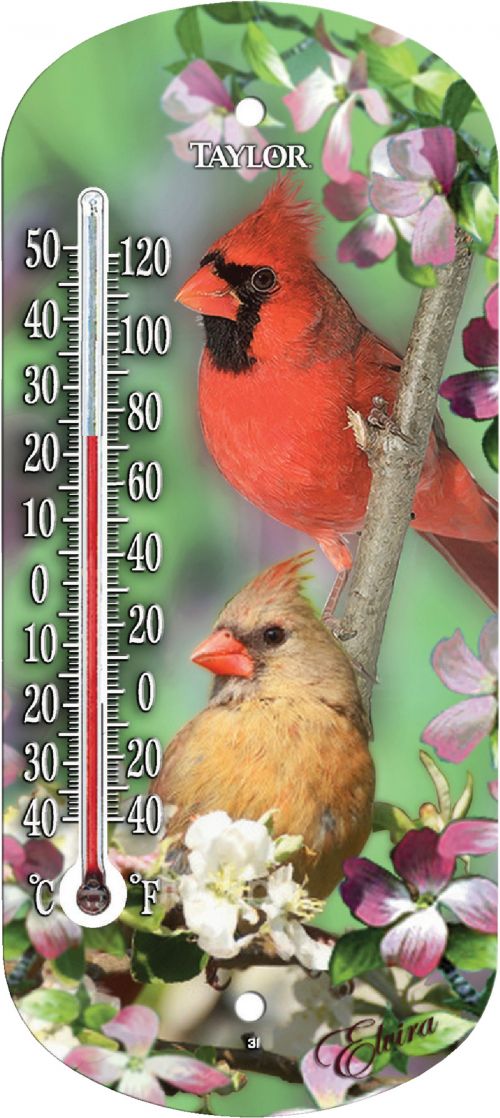 Taylor 8 In. Tube Outdoor Window Thermometer