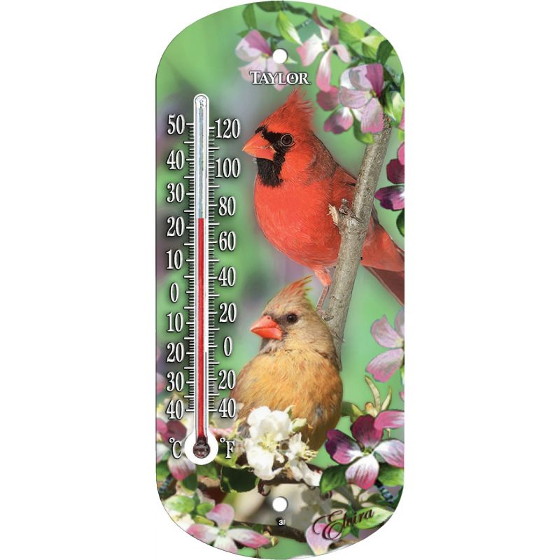 Taylor Cardinal Window Thermometer Multi