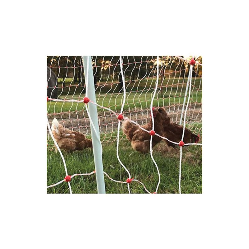 Gallagher A207021 Poultry Net, 85 ft L, 48 in W