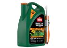 Ortho WeedClear 0446505 Ready-To-Use Lawn Weed Killer, Liquid, Spray Application, 1.1 gal Jug Light Brown
