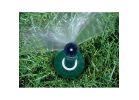 Orbit 54118 Sprinkler Head with Adjustable Nozzle, 1/2 in Connection, MNPT, Plastic Black