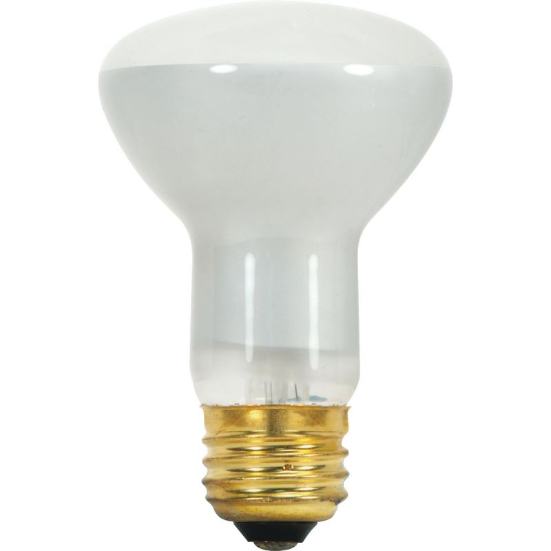 Satco R20 Incandescent Floodlight Light Bulb