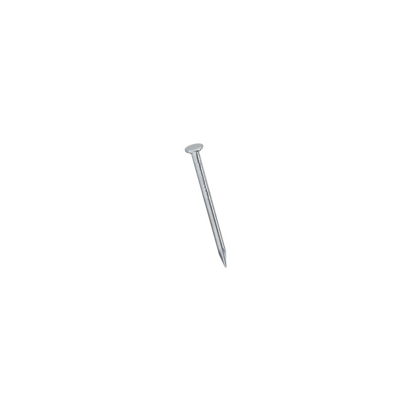 National Hardware N278-291 Wire Nail, 3/4 in L, Steel, Galvanized, 1 PK
