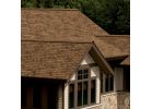 Owens Corning TruDefinition Desert Tan Laminated Architectural Roof Shingles