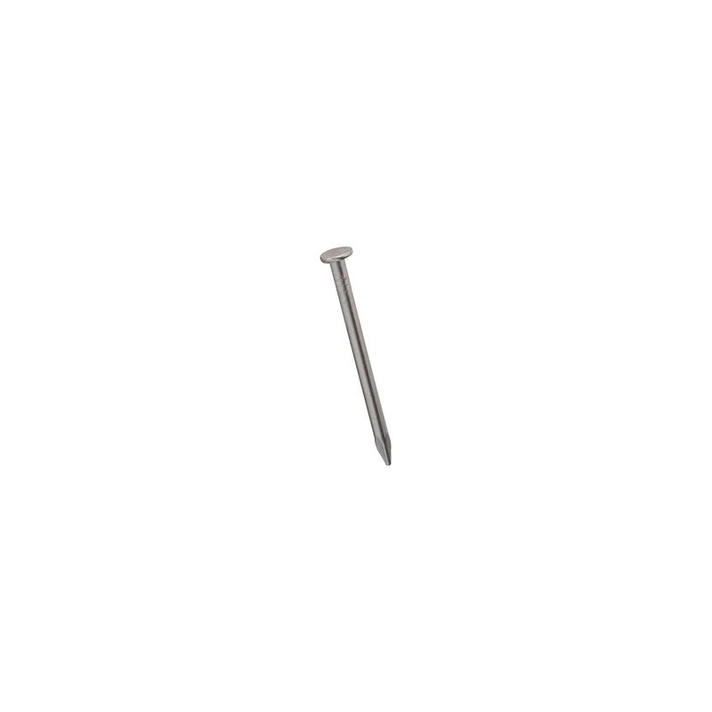 National Hardware N278-333 Wire Nail, 3/4 in L, Stainless Steel, 1 PK