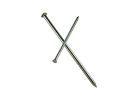 Simpson Strong-Tie S8SND1 Siding Nail, 8d, 2-1/2 in L, 304 Stainless Steel, Full Round Head, Annular Ring Shank, 1 lb 8d