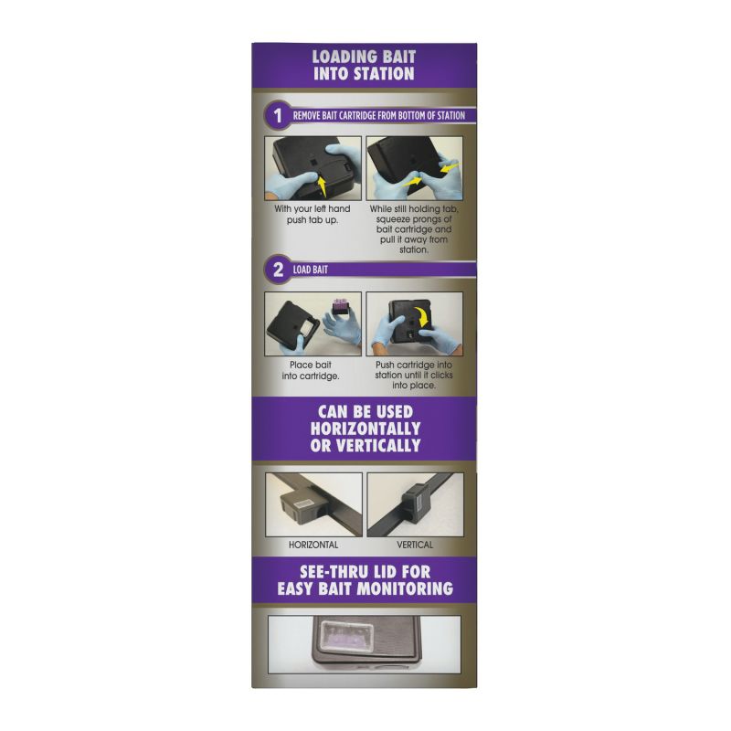 Buy Tomcat 0373805 Mouse Killer Disposable Bait Station, 12 Mice Bait,  Purple/Violet Purple/Violet