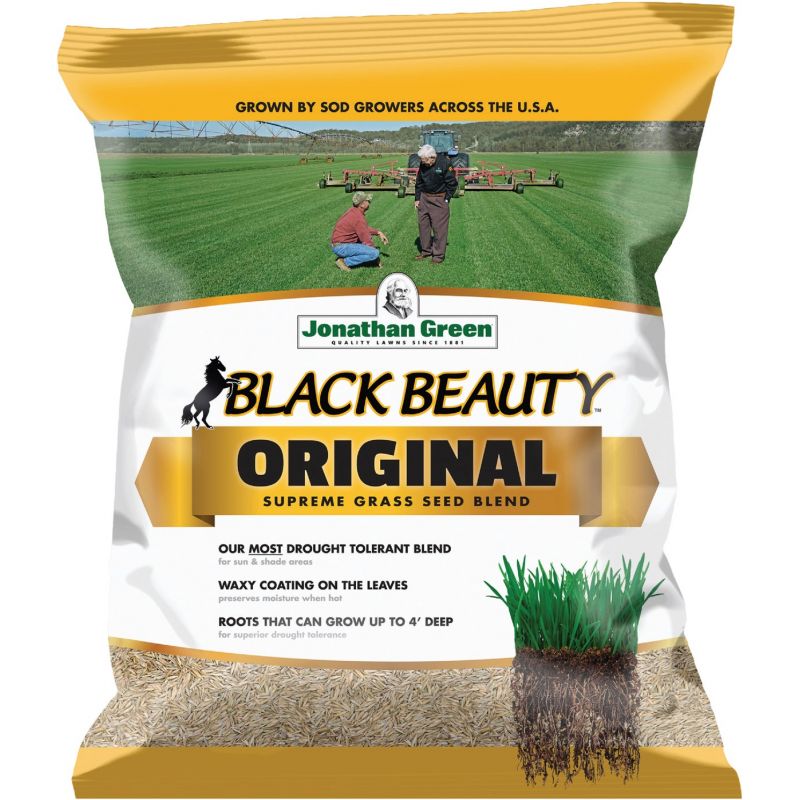 Jonathan Green Black Beauty Grass Seed Mixture Medium Texture, Extra Dark Green Color