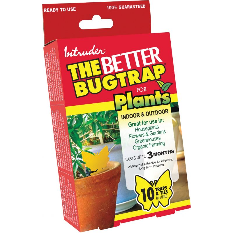 Intruder The Better Bugtrap For Plants