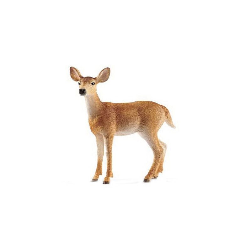 Schleich-S Wild Life Series 14819 Toy, 3 to 12 years, White-Tailed Doe, Plastic