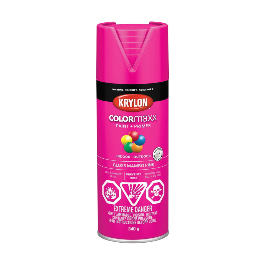 Krylon FUSION ALL-IN-ONE Gloss Pink Blush Spray Paint and Primer