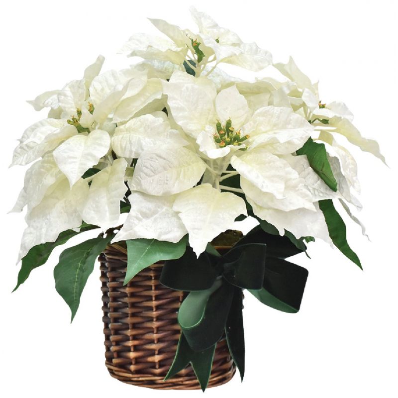 16 In. Poinsettia Winter White (Pack of 4)