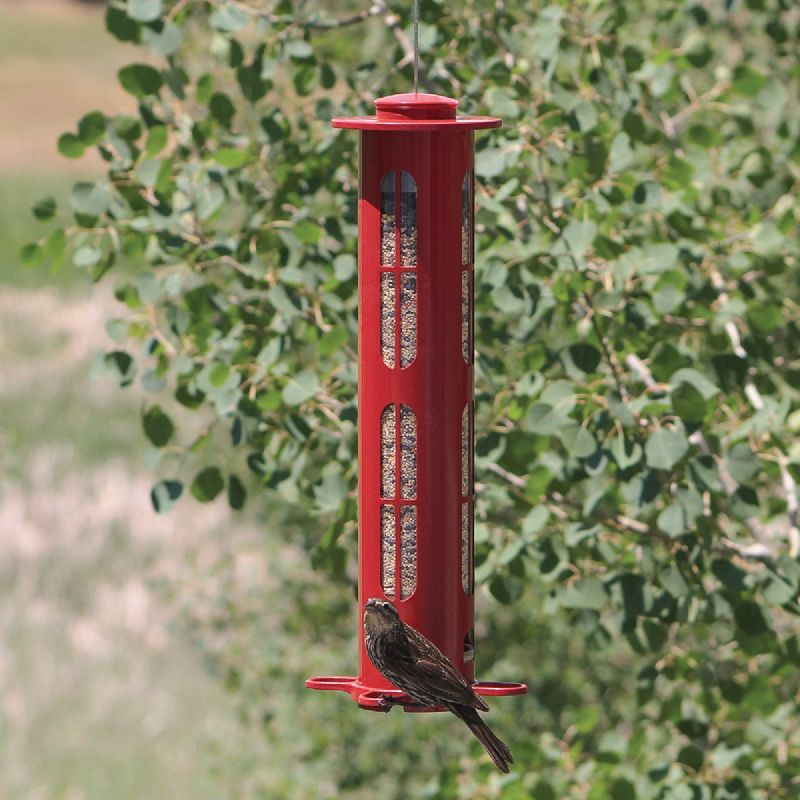 Classic Brands Squirrel-X8 Red Bird Feeder 2.5 Lb./1.88 Qt., Red