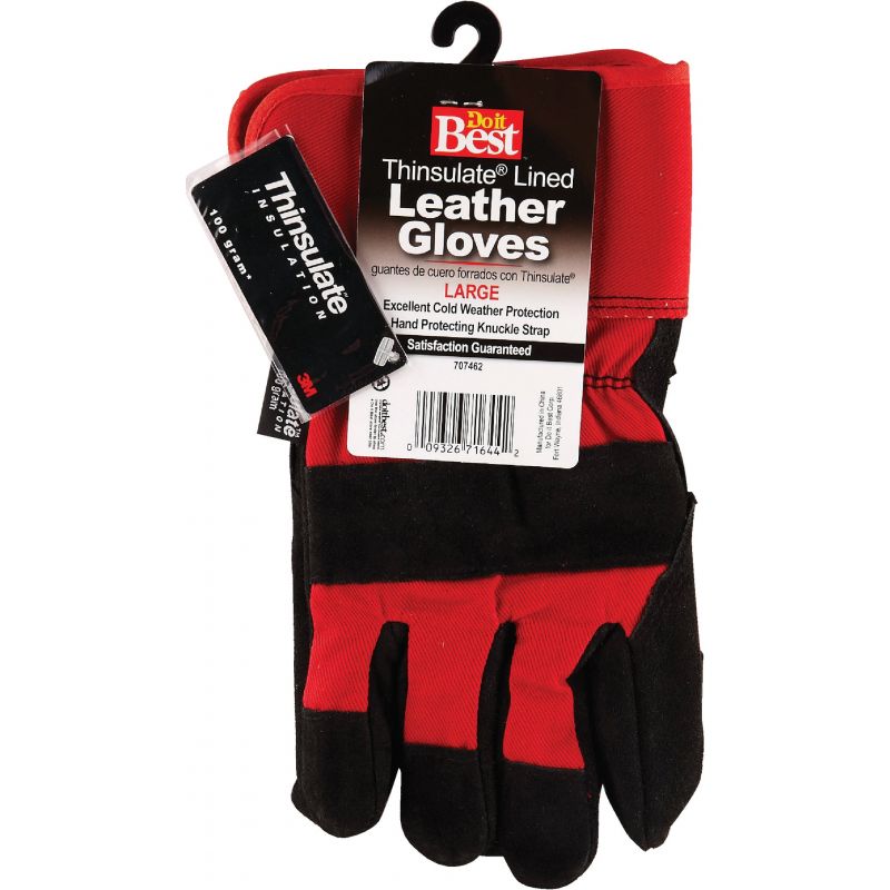 Do it Best Leather Winter Work Glove L, Assorted