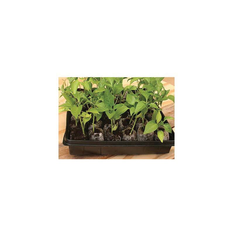 Ferry-Morse J336GS Seed Starting Greenhouse Kit