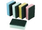 Smart Savers Sponge Scrubber Assorted (Pack of 12)