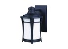 Canarm MAYA Series IOL138BK Outdoor Wall Light, 120 V, Incandescent Lamp