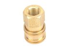 Forney 75127 Quick Coupler, 1/4 in Connection, FNPT, Brass