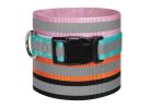 Guardian Gear ZA984 18 75 Dog Collar, 18 to 26 in L Collar, 1 in W Collar, Nylon, Pink, Reflective Taping Pink