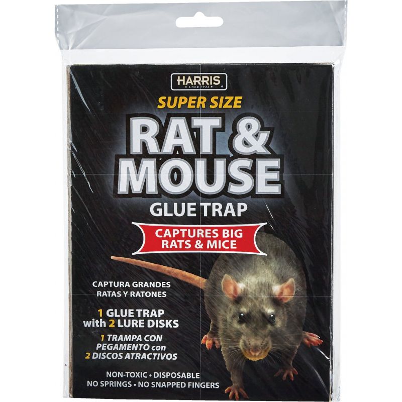 Harris Rat &amp; Mouse Trap